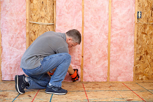 Best Insulation for New Construction  in Edgerton, WI